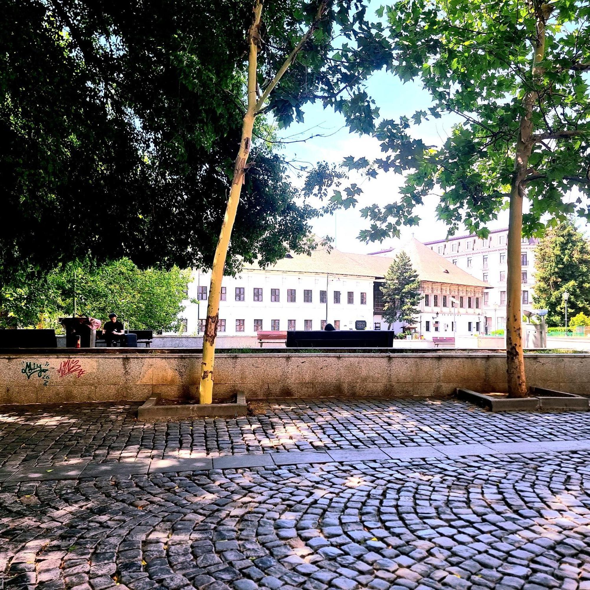 Enchanting Retreat - Historic Old Town - Pet-Friendly Haven - Steps From Unirii Bucureşti Exterior foto