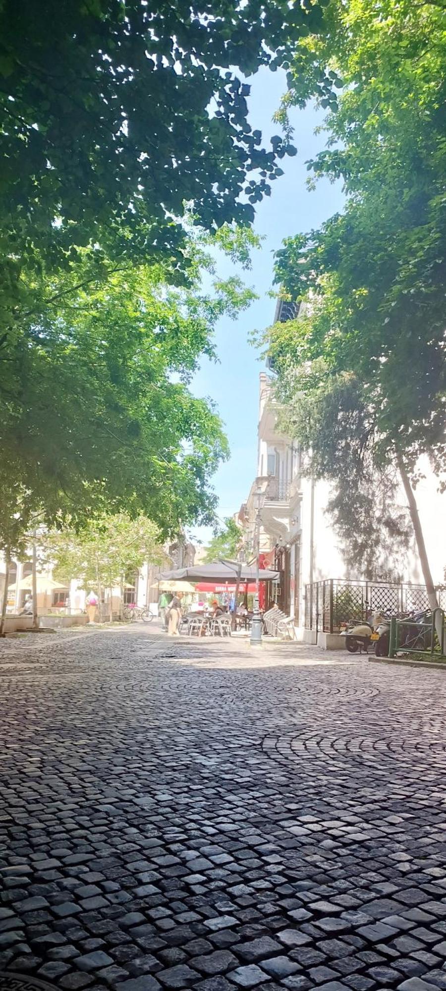 Enchanting Retreat - Historic Old Town - Pet-Friendly Haven - Steps From Unirii Bucureşti Exterior foto